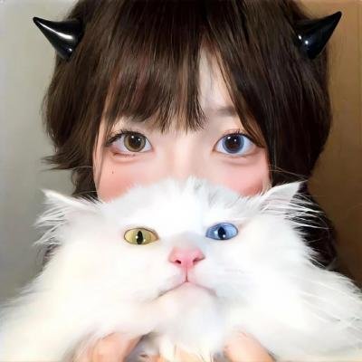 福斯特对话尼克松 在线观看